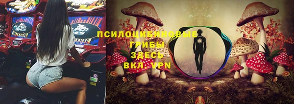 прущие крисы Алзамай