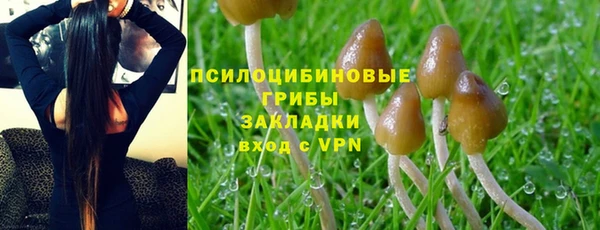 скорость Алексеевка